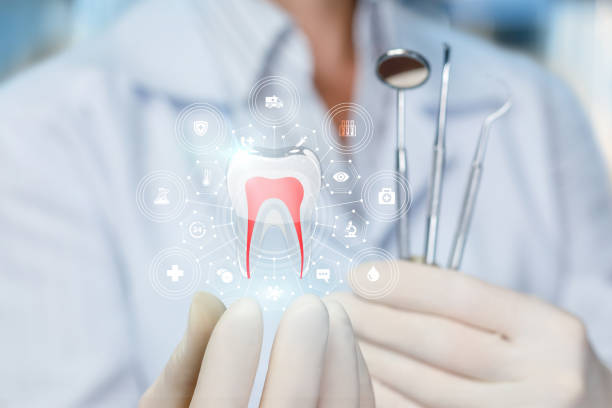  Wilsons Mills, NC Dental Services Pros